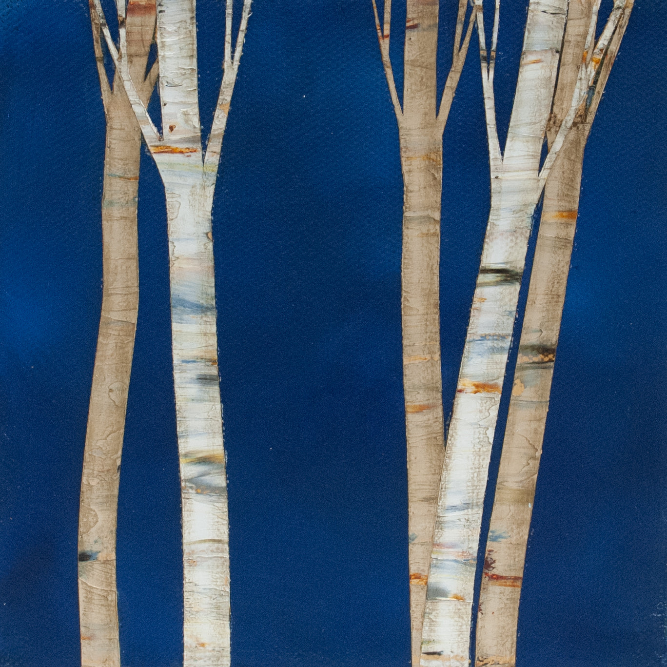 Birch By Moonlight I