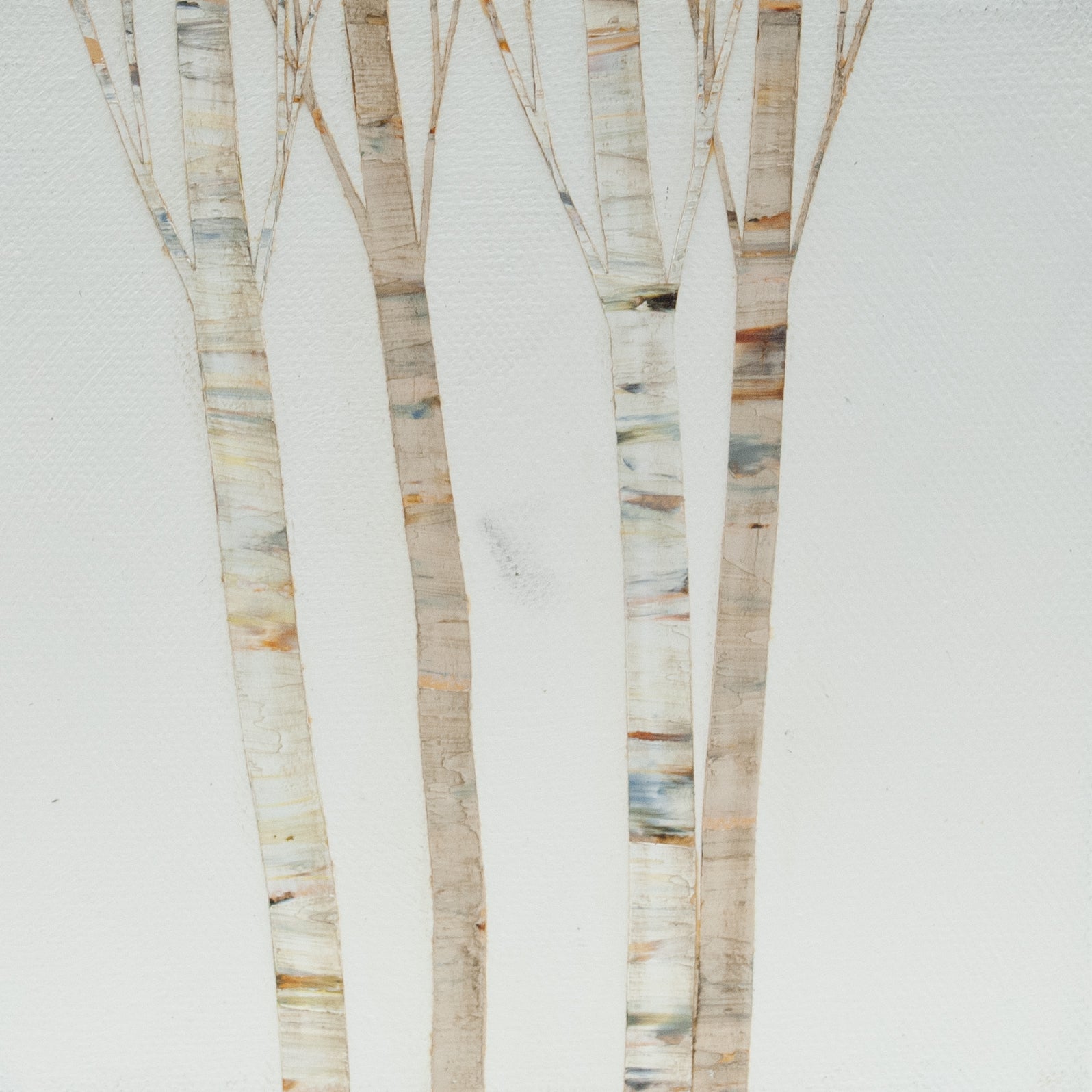 Birch in Silence