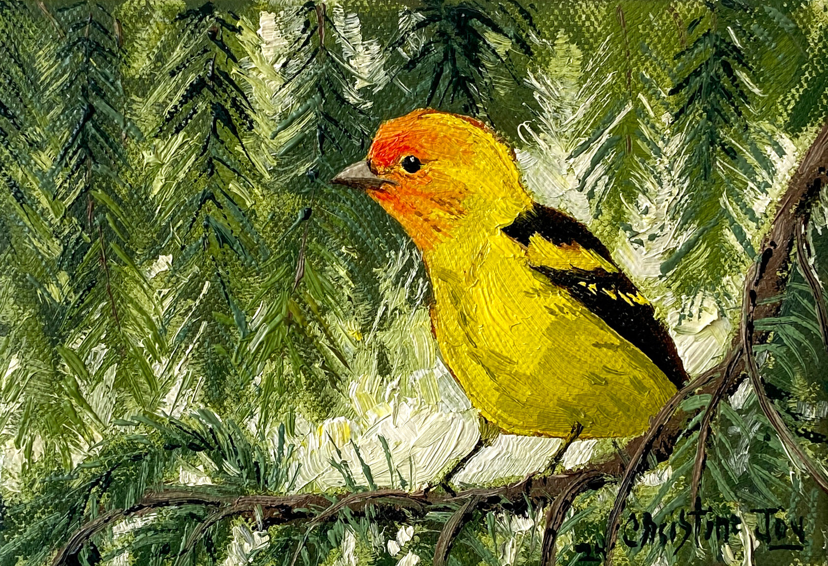 Western Tanager