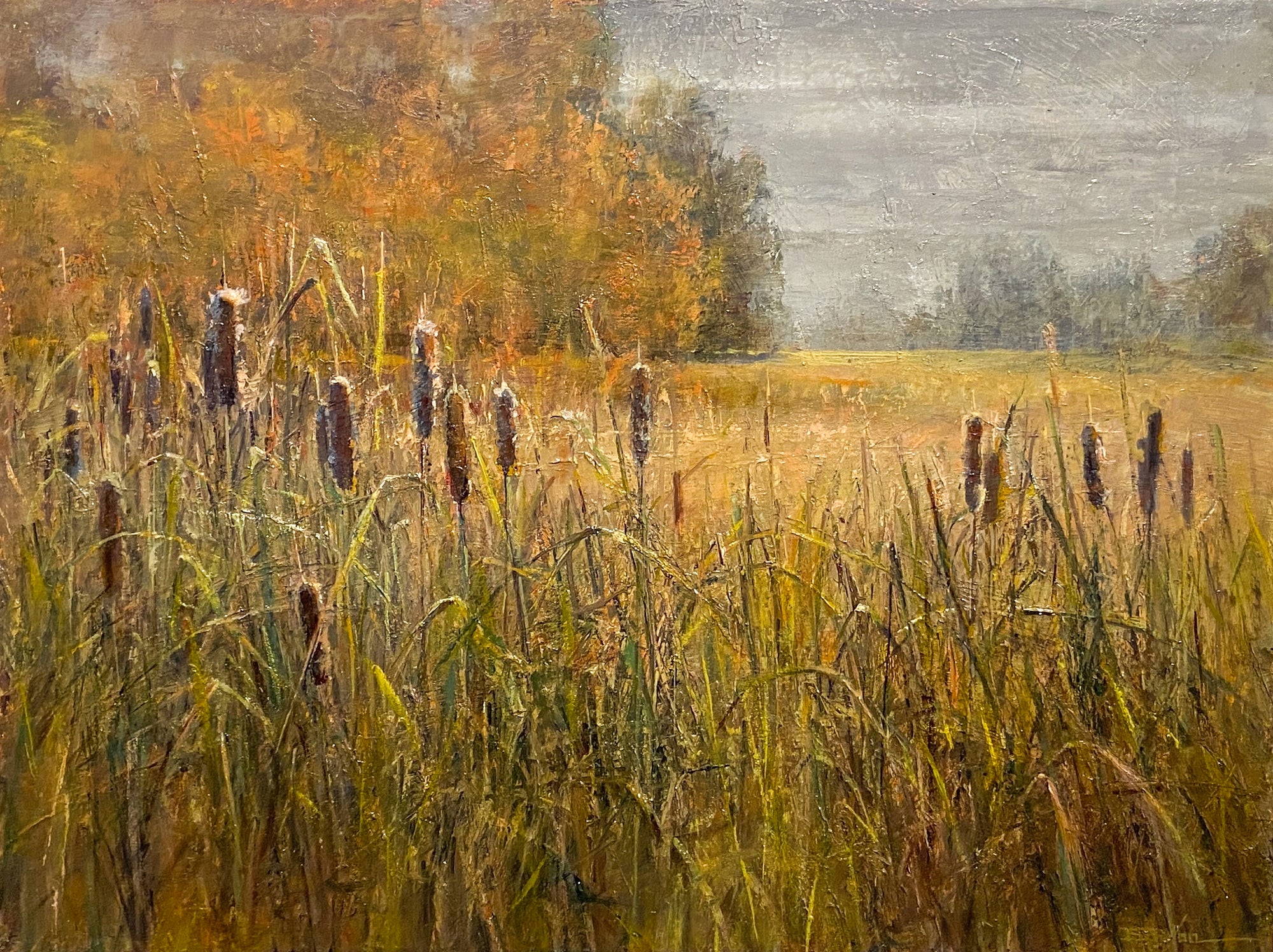 Cattails in September