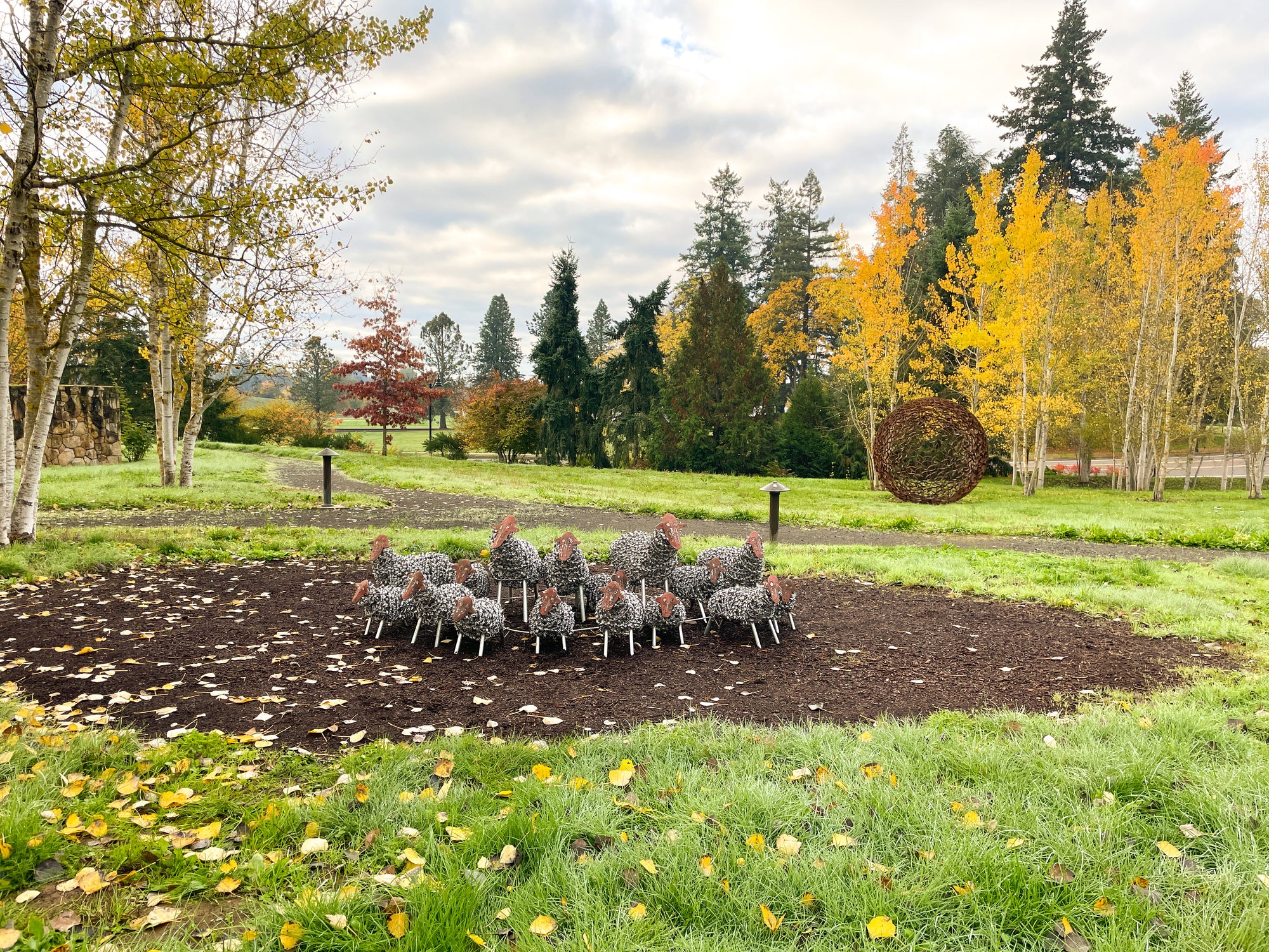 Spring Sheep