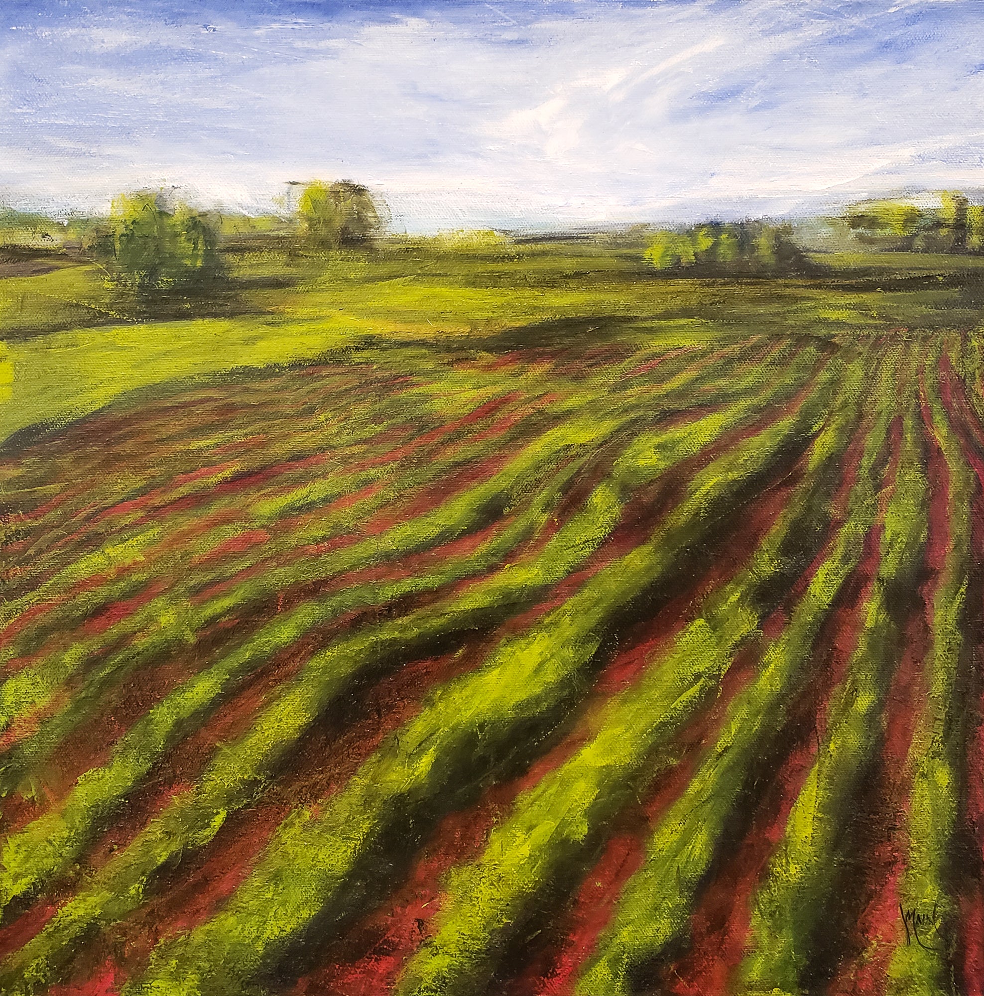 Red Field XXI